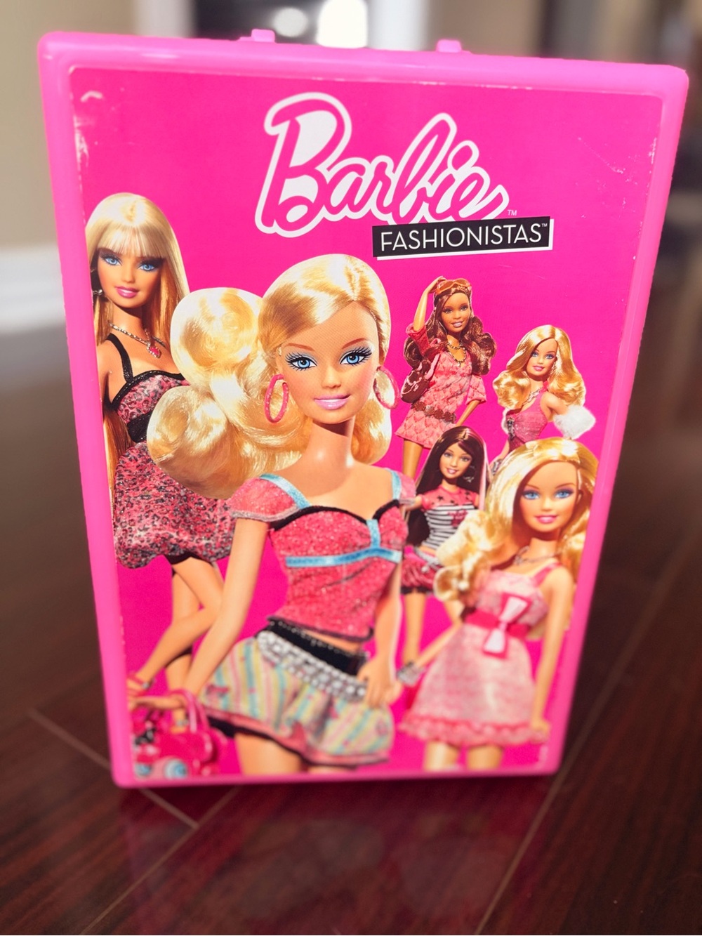 Barbie Fashionistas Doll Trunk Case